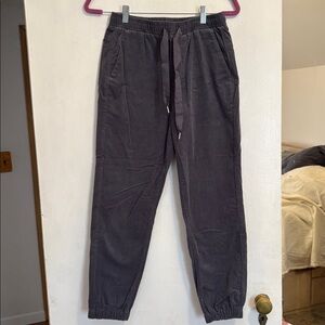EMS Corduroy Blue Grey Jogger Pants